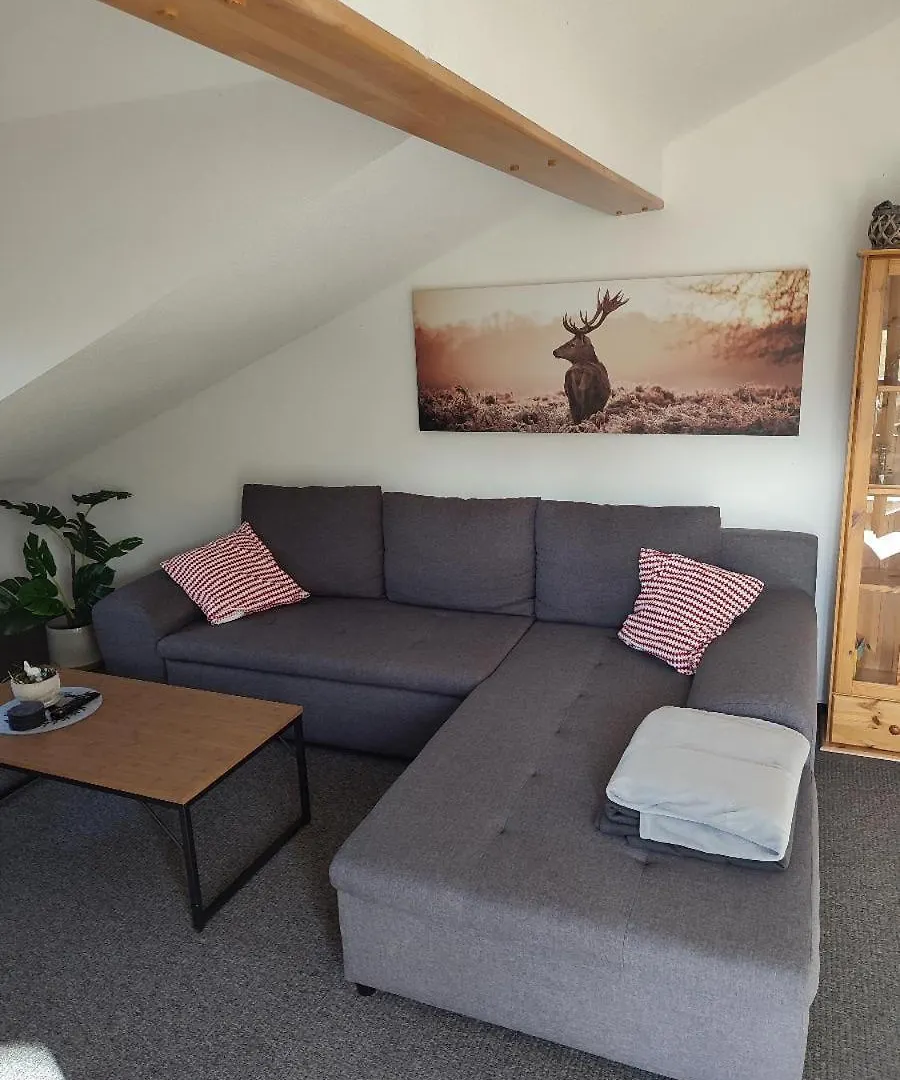 Apartment Ferienwohnung Schmidt Bayerisch Eisenstein